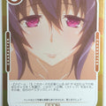 OSICA High School DxD OS/HIG-01-036F 3 Star Foil Akeno Himejima Trading Card NM