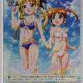 Weiss Schwarz Magical Girl Lyrical Nanoha NR/W58-P03PR PR Fate T Harlaown Trading Card NM