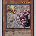 Yu-Gi-Oh! Yu-Gi-Oh! YGO/EE2-JP194 N Trading Card EX