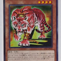Yu-Gi-Oh! Yu-Gi-Oh! YGO/DP27-JP039 N Trading Card EX