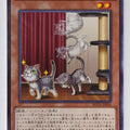 Yu-Gi-Oh! Yu-Gi-Oh! YGO/ROTA-JP026 N Trading Card EX