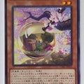 Yu-Gi-Oh! Yu-Gi-Oh! YGO/CYAC-JP013 N Trading Card EX