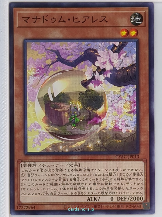 Yu-Gi-Oh! Yu-Gi-Oh! YGO/CYAC-JP013 N  Trading Card NM