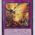 Yu-Gi-Oh! Yu-Gi-Oh! YGO/SOFU-JP067 N Trading Card EX