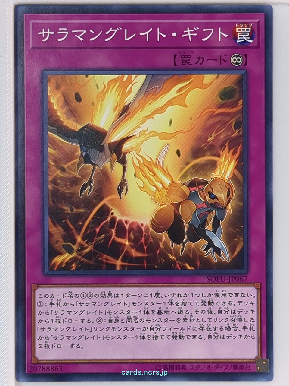 Yu-Gi-Oh! Yu-Gi-Oh! YGO/SOFU-JP067 N  Trading Card NM