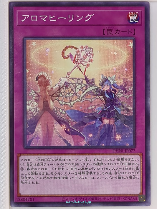 Yu-Gi-Oh! Yu-Gi-Oh! YGO/PHNI-JP077 N  Trading Card NM