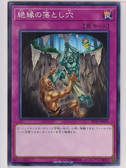 Yu-Gi-Oh! Yu-Gi-Oh! YGO/SD35-JP037 N  Trading Card NM