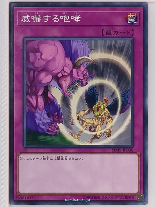 Yu-Gi-Oh! Yu-Gi-Oh! YGO/SD35-JP036 N  Trading Card NM