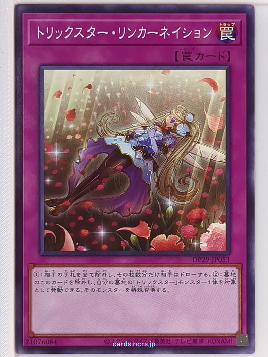 Yu-Gi-Oh! Yu-Gi-Oh! YGO/DP29-JP053 N  Trading Card NM