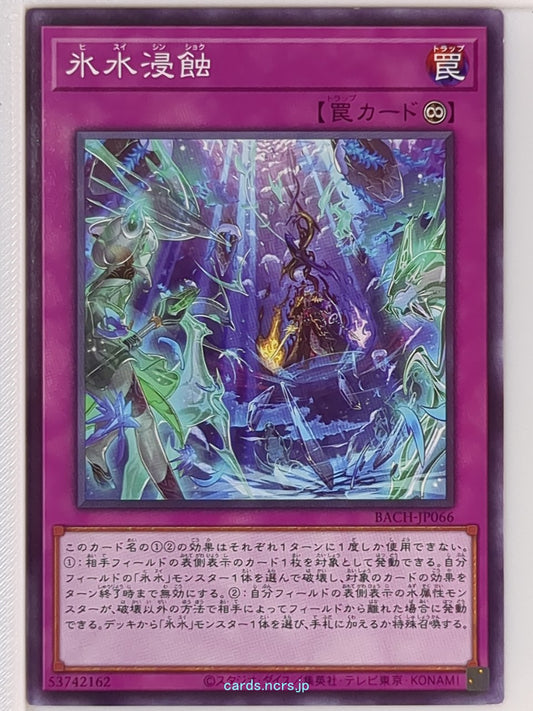 Yu-Gi-Oh! Yu-Gi-Oh! YGO/BACH-JP066 N  Trading Card NM
