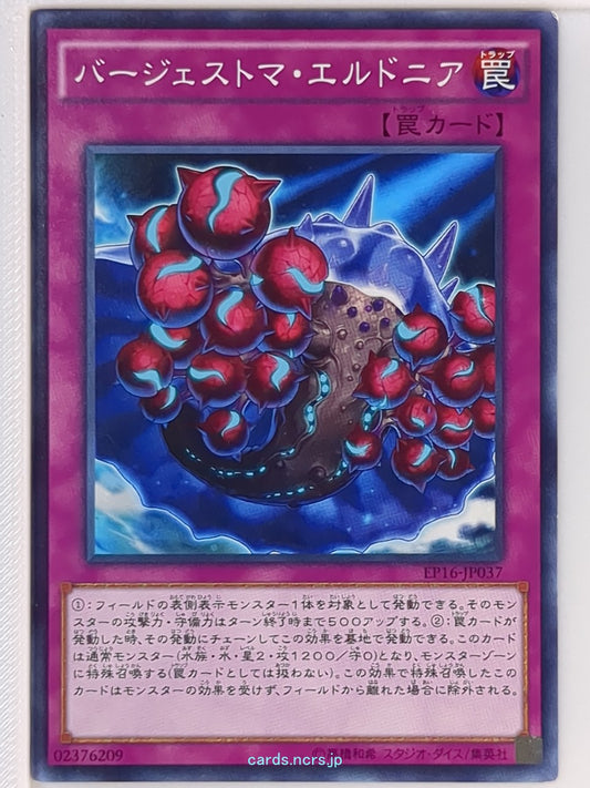 Yu-Gi-Oh! Yu-Gi-Oh! YGO/EP16-JP037 N  Trading Card NM