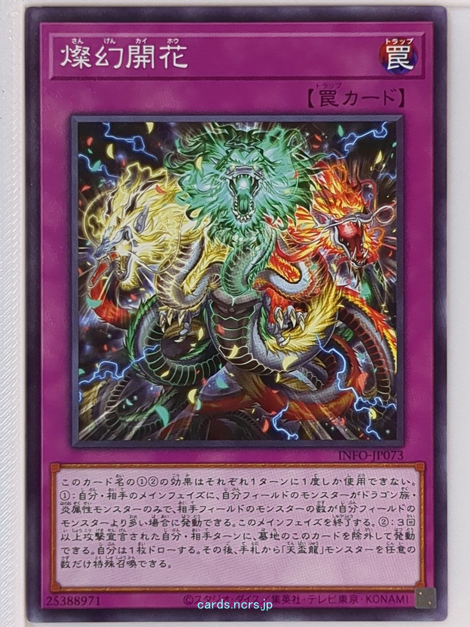 Yu-Gi-Oh! Yu-Gi-Oh! YGO/INFO-JP073 N  Trading Card NM
