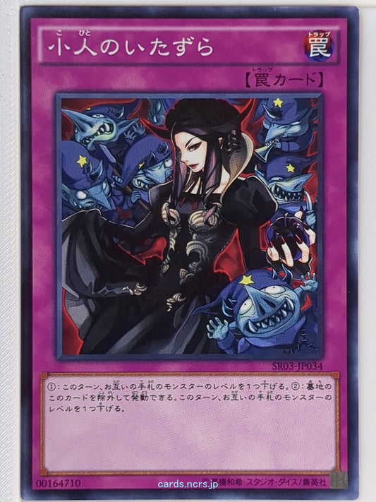 Yu-Gi-Oh! Yu-Gi-Oh! YGO/SR03-JP034 N  Trading Card NM