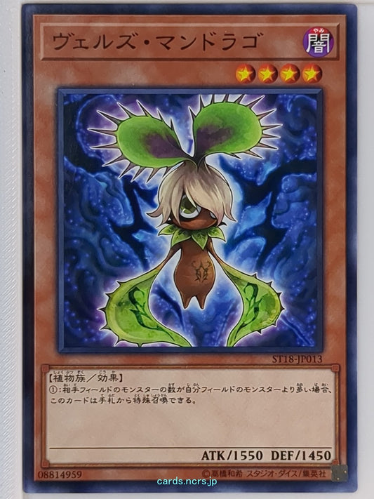 Yu-Gi-Oh! Yu-Gi-Oh! YGO/ST18-JP013 N  Trading Card NM
