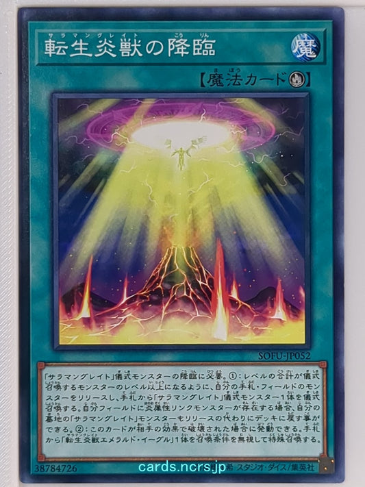 Yu-Gi-Oh! Yu-Gi-Oh! YGO/SOFU-JP052 N  Trading Card NM