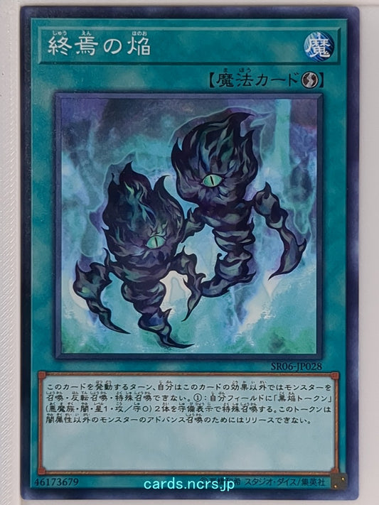 Yu-Gi-Oh! Yu-Gi-Oh! YGO/SR06-JP028 N  Trading Card NM