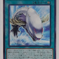 Yu-Gi-Oh! Yu-Gi-Oh! YGO/PHNI-JP058 N Trading Card EX