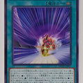 Yu-Gi-Oh! Yu-Gi-Oh! YGO/DUNE-JP051 N Trading Card EX