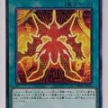 Yu-Gi-Oh! Yu-Gi-Oh! YGO/DBMF-JP010 N Trading Card EX