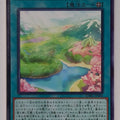 Yu-Gi-Oh! Yu-Gi-Oh! YGO/DABL-JP066 N Trading Card EX