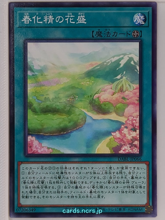 Yu-Gi-Oh! Yu-Gi-Oh! YGO/DABL-JP066 N  Trading Card NM
