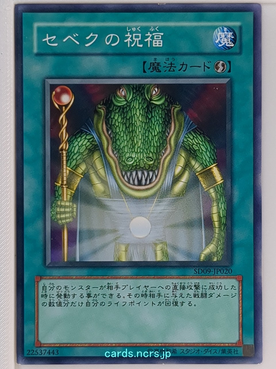 Yu-Gi-Oh! Yu-Gi-Oh! YGO/SD09-JP020 N Trading Card EX