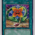 Yu-Gi-Oh! Yu-Gi-Oh! YGO/CSOC-JP046 N Trading Card EX
