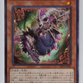 Yu-Gi-Oh! Yu-Gi-Oh! YGO/DBVS-JP006 N Trading Card EX