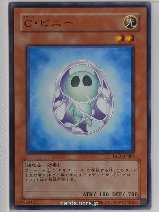 Yu-Gi-Oh! Yu-Gi-Oh! YGO/TAEV-JP009 N  Trading Card NM