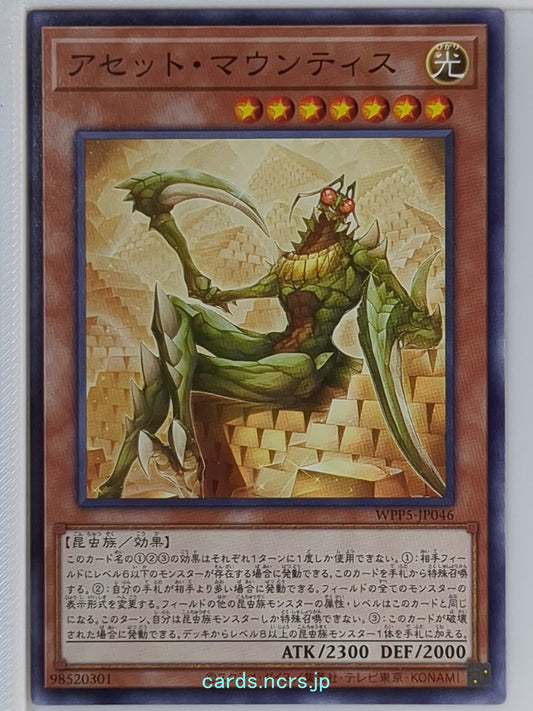 Yu-Gi-Oh! Yu-Gi-Oh! YGO/WPP5-JP046 N  Trading Card NM