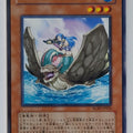 Yu-Gi-Oh! Yu-Gi-Oh! YGO/RGBT-JP036 N Trading Card EX