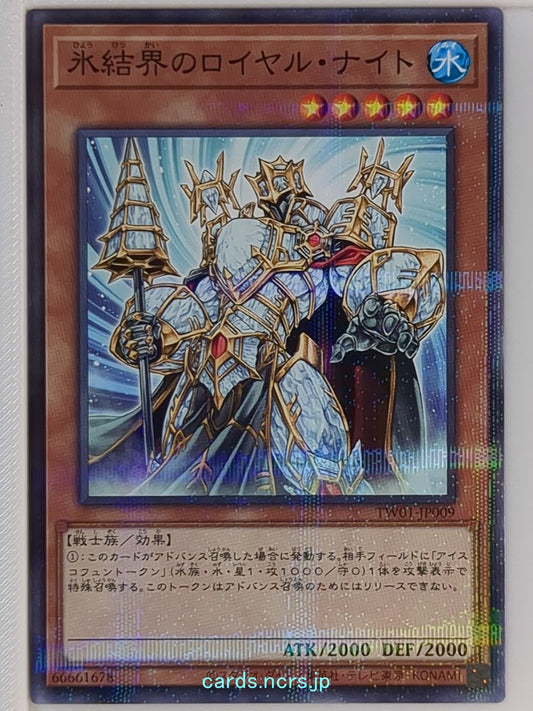 Yu-Gi-Oh! Yu-Gi-Oh! YGO/TW01-JP009 N  Trading Card NM