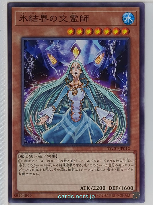 Yu-Gi-Oh! Yu-Gi-Oh! YGO/TW01-JP012 N  Trading Card NM