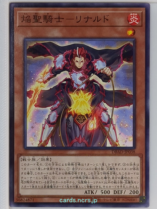 Yu-Gi-Oh! Yu-Gi-Oh! YGO/DBAD-JP038 N  Trading Card NM