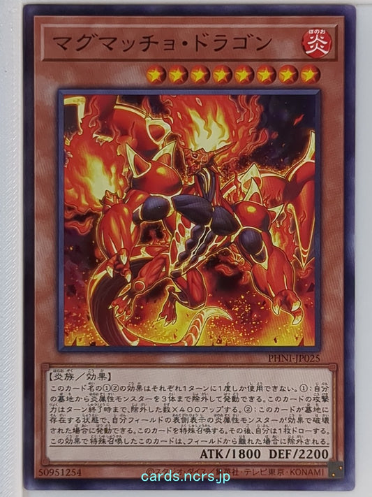 Yu-Gi-Oh! Yu-Gi-Oh! YGO/PHNI-JP025 N  Trading Card NM