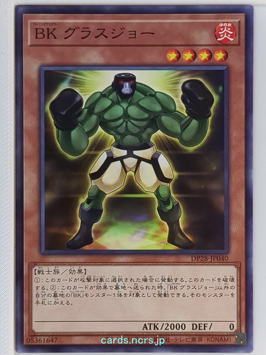 Yu-Gi-Oh! Yu-Gi-Oh! YGO/DP28-JP040 N  Trading Card NM