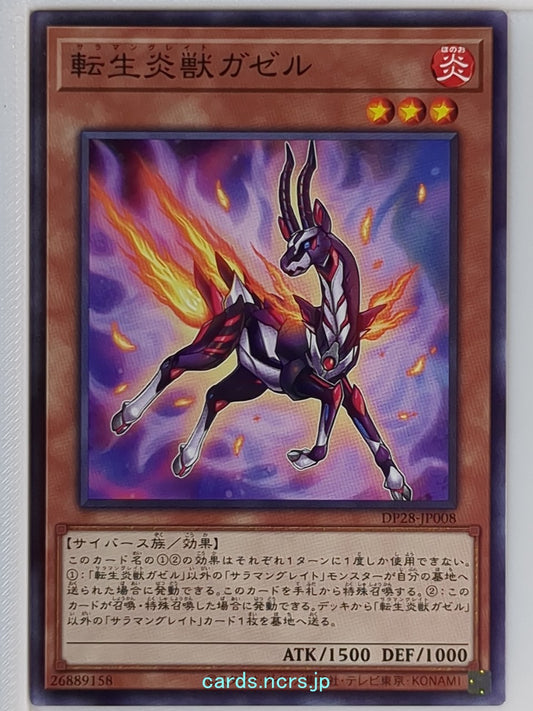 Yu-Gi-Oh! Yu-Gi-Oh! YGO/DP28-JP008 N  Trading Card NM