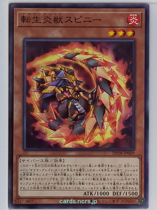 Yu-Gi-Oh! Yu-Gi-Oh! YGO/DP28-JP009 N  Trading Card NM