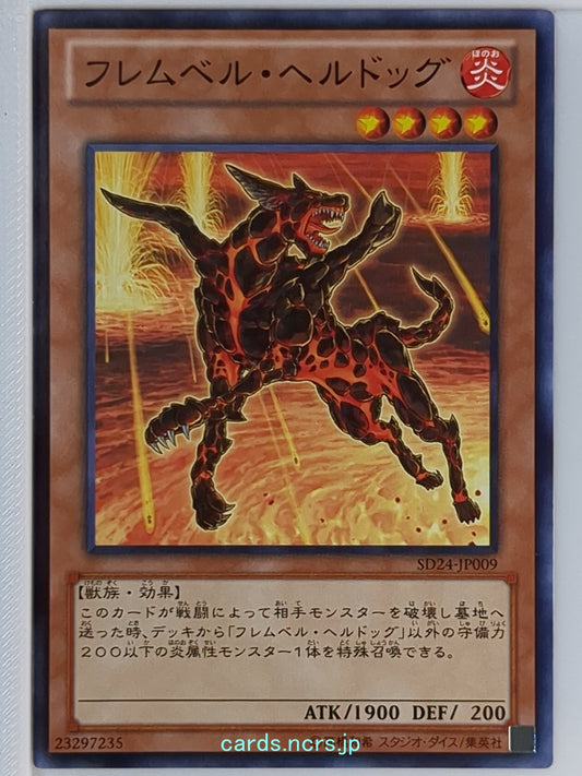 Yu-Gi-Oh! Yu-Gi-Oh! YGO/SD24-JP009 N  Trading Card NM