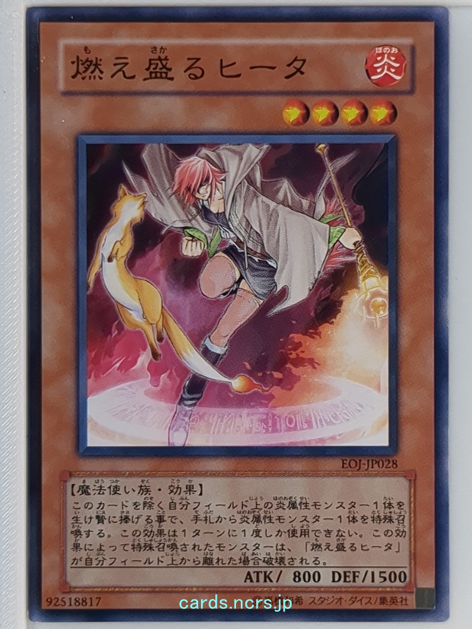 Yu-Gi-Oh! Yu-Gi-Oh! YGO/EOJ-JP028 N  Trading Card NM