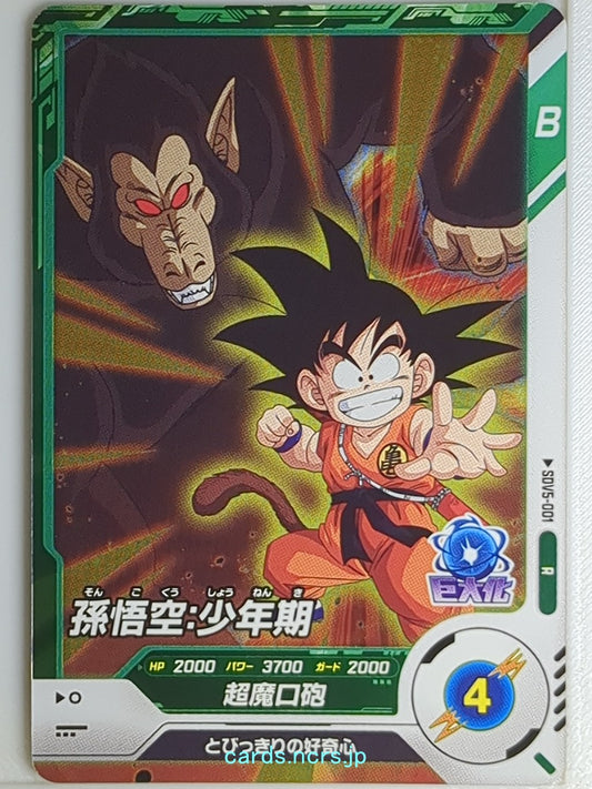 DragonBall Super Divers Dragon Ball DSD/SDV5-001 R  Trading Card NM