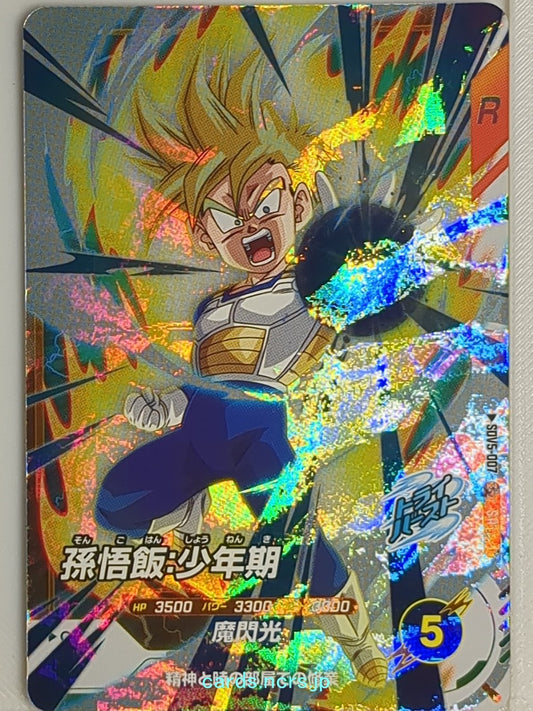 DragonBall Super Divers Dragon Ball DSD/SDV5-007 SR Son Gohan Trading Card NM