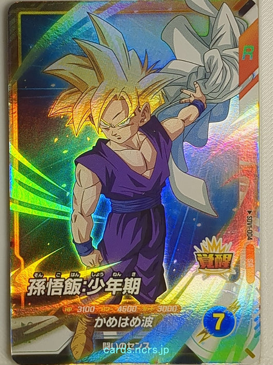 DragonBall Super Divers Dragon Ball DSD/SDV1-004 SR Son Gohan Trading Card NM