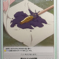 Chaos Brave Witches CH/BW-078C C Trading Card NM