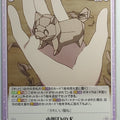 Chaos Brave Witches CH/BW-099C C Trading Card NM