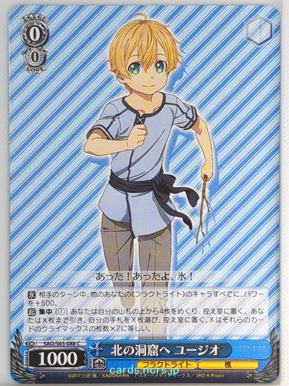 Weiss Schwarz Sword Art Online SAO/S65-088C C Eugeo Trading Card NM