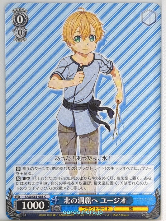 Weiss Schwarz Sword Art Online SAO/S65-088C C Eugeo Trading Card NM