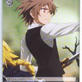 Weiss Schwarz Fate/Apocrypha APO/S53-T15TD TD Sieg Trading Card NM