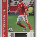 Panini WCCF Football WCCF/2011-2012-A34/48 N Joan Capdevila Trading Card EX