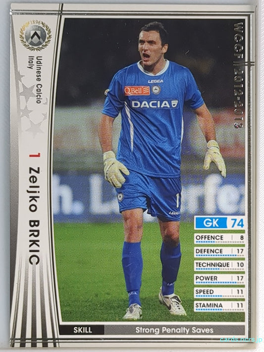 Panini WCCF Football WCCF/2012-2013-241/384 N Zeljko BRKIC Trading Card NM